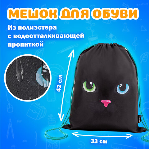 Папка на молнии с ручками А4, мешок для обуви 42х33 см, пенал 20х10 см, "Black cat" НАБОР BRAUBERG, 271434 - фото 10