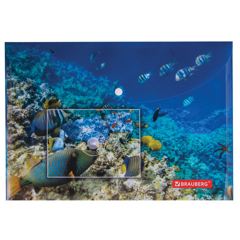 Папка-конверт с кнопкой BRAUBERG "SEA WORLD", А4, 160 мкм, до 100 листов, цветная печать, 228041 - фото 2