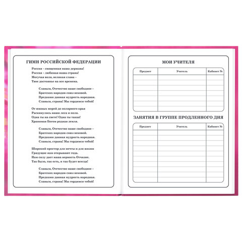 Дневник 1-4 класс 48 л., твердый, ЮНЛАНДИЯ, выборочный лак, с подсказом, "Панда", 107597 - фото 6