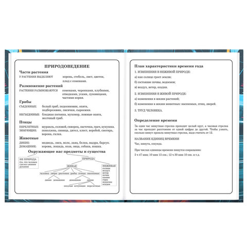 Дневник 1-4 класс 48 л., твердый, BRAUBERG, выборочный лак, с подсказом, "Крутой байк", 107592 - фото 16