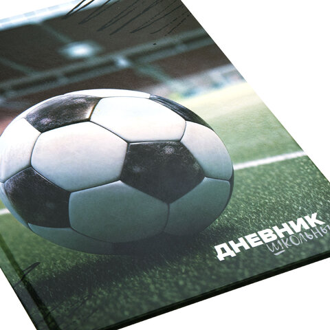 Дневник 1-4 класс 48 л., твердый, ЮНЛАНДИЯ, глянцевая ламинация, с подсказом, "Футбол", 107583 - фото 4