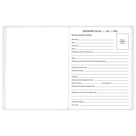 Дневник 5-11 класс 48 л., твердый, BRAUBERG, выборочный лак, с подсказом, "Кот-Непоседа", 107616 - фото 5