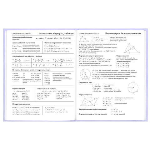 Дневник 5-11 класс 48 л., твердый, BRAUBERG, матовая ламинация, с подсказом, "Классика", 107610 - фото 10