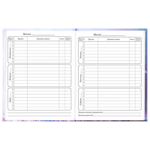 Дневник 1-4 класс 48 л., твердый, BRAUBERG, глянцевая ламинация, с подсказом, "Princess", 107590 - фото 9