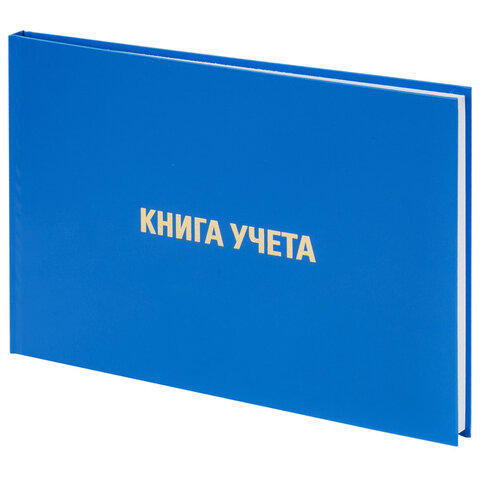 Книга учета 96 л., клетка, твердая, бумвинил, блок офсет, альбомная, А4 203х290 мм, BRAUBERG, 130074 - фото 1