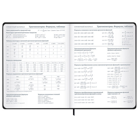 Дневник 1-11 класс 48 л., твердый, BRAUBERG, матовая ламинация, резинка, закладка-ляссе, с подсказом, "Элементы", 107242 - фото 16