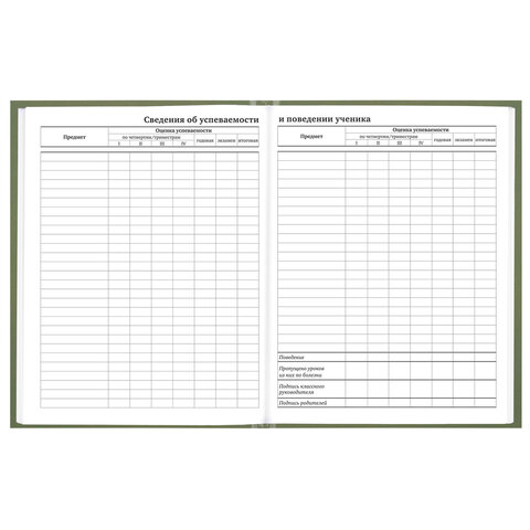 Дневник 1-11 класс 40 л., твердый, BRAUBERG, глянцевая ламинация, "Однотонный", 107607 - фото 9