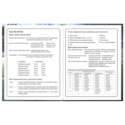 Дневник 1-4 класс 48 л., твердый, ЮНЛАНДИЯ, глянцевая ламинация, с подсказом, "Футбол", 107583 - фото 12