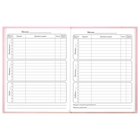 Дневник 1-4 класс 48 л., твердый, BRAUBERG, выборочный лак, с подсказом, "Миленький котёнок", 107594 - фото 9