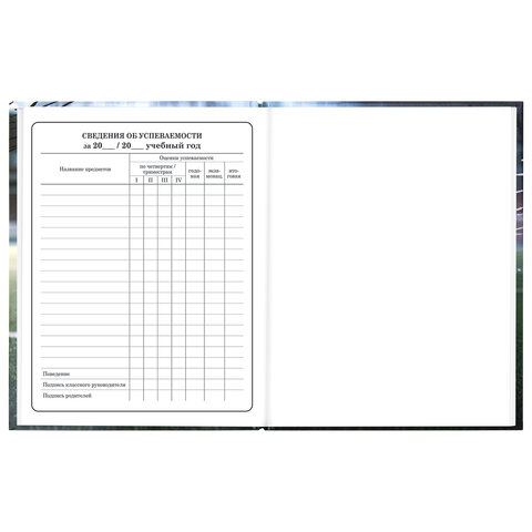 Дневник 1-4 класс 48 л., твердый, ЮНЛАНДИЯ, глянцевая ламинация, с подсказом, "Футбол", 107583 - фото 18