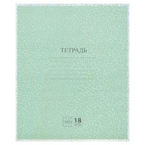 Обложки с ГОЛОГРАММОЙ для тетрадей и дневников, КОМПЛЕКТ 5 шт., ПЛОТНЫЕ, 100 мкм, 210x350 мм, FUNSTER (ФАНСТЕР), 274089 - фото 6