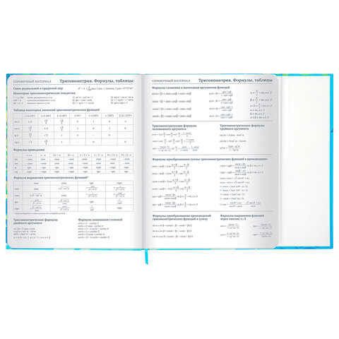 Дневник 1-11 класс 48 л., твердый, BRAUBERG, матовая ламинация, магнитный клапан, закладка-ляссе, с подсказом, "Котик", 107244 - фото 17