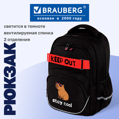 Рюкзак BRAUBERG MOTION, 2 отделения, 3 кармана, "Капибара", СВЕТЯЩИЙСЯ, 41х28х17 см, 272032 - фото 8