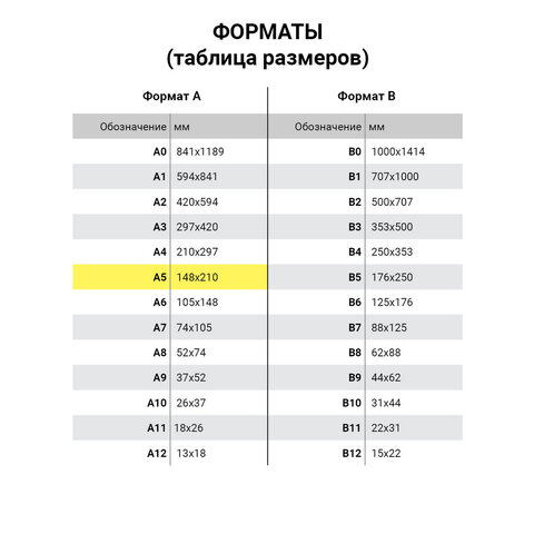 Тетрадь предметная "AVOCADO" 48 л., глянцевый лак, ФИЗИКА, клетка, BRAUBERG, 404283 - фото 8