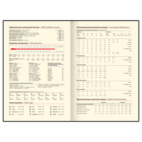 Ежедневник в наборе с ручкой А5, 144x210 мм, BRAUBERG "Style" под кожу, 160 листов, синий, 116862 - фото 10