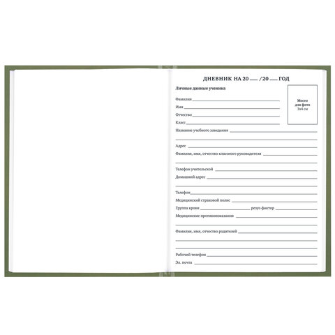 Дневник 1-11 класс 40 л., твердый, BRAUBERG, глянцевая ламинация, "Однотонный", 107607 - фото 5