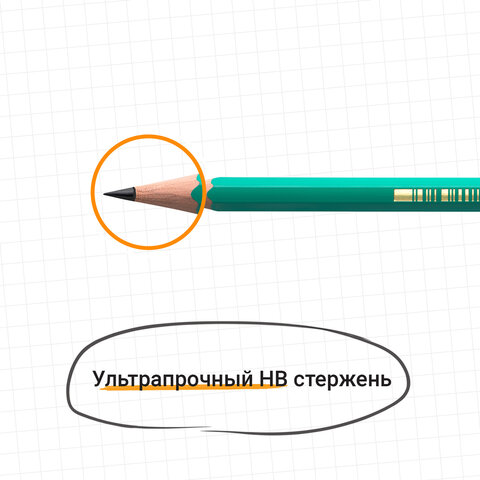 Карандаш чернографитный EVOLUTION ЭКО HB б/ласт пластиковый CO650Франция - фото 8