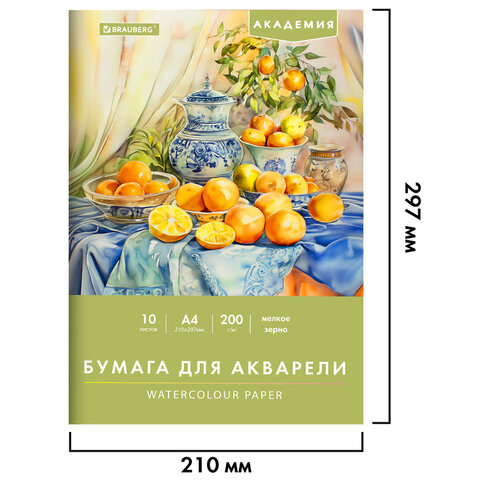 Папка для акварели А4, 210х297 мм, 10 листов, 200 г/м2, BRAUBERG АКАДЕМИЯ (ДЭК), "Апельсины", 117743 - фото 2