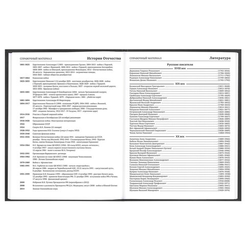 Дневник 5-11 класс 48 л., твердый, FUNSTER (ФАНСТЕР), выборочный лак, с подсказом, "Гусыня-балерина", 107615 - фото 14