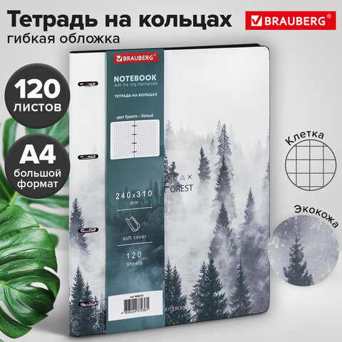 Тетрадь на кольцах БОЛЬШАЯ А4 (240х310 мм), 120 л., под кожу, BRAUBERG VISTA, "Туман", 404515 - фото 12