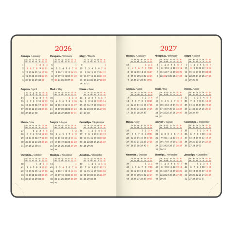 Ежедневник датированный 2026, МАЛЫЙ ФОРМАТ 100х150 мм, А6, BRAUBERG "Imperial", под кожу, бордо, 117254 - фото 7