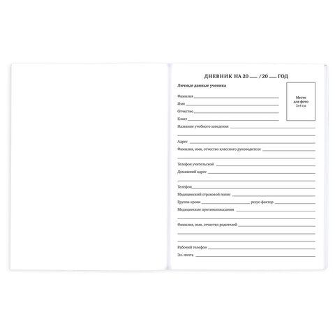 Дневник 1-11 класс 40 л., на скобе, ПИФАГОР, обложка картон, МИКС "Универсальный", 107578 - фото 7