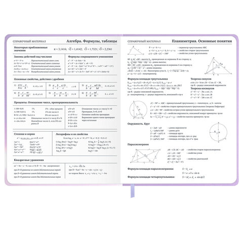 Дневник 1-11 класс 48 л., обложка кожзам (твердая с поролон), 3D-элемент, BRAUBERG, "Суровый кот", 107221 - фото 14