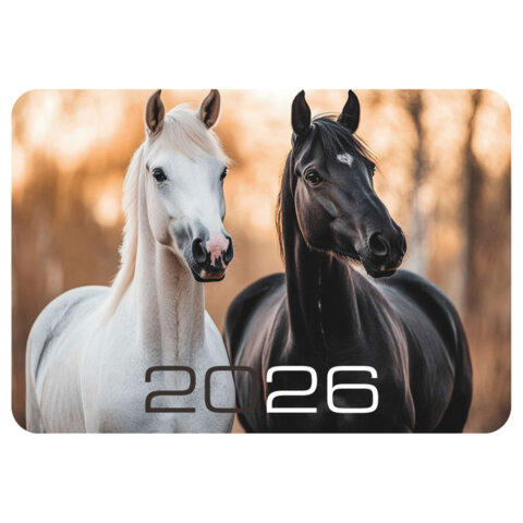 Календарь карманный на 2026г, BRAUBERG, 64х93мм, АССОРТИ 20 видов, 117304 - фото 21