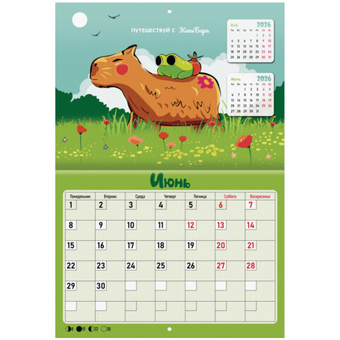 Календарь-планер настенный перекидной на 2026 г., BRAUBERG, 12 листов, 29,5х21,3 см, "Капибара", 116953 - фото 9