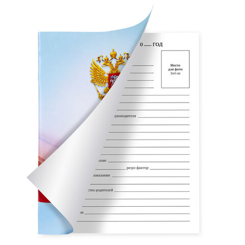 Дневник 1-11 класс 40 л., на скобе, ПИФАГОР, обложка картон, МИКС "Российский", 107576 - фото 6