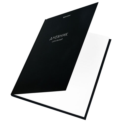 Дневник 1-11 класс 40 л., твердый, BRAUBERG, матовая ламинация, "Minimal", 107604 - фото 2