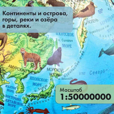 Глобус зоогеографический GLOBEN "Классик Евро", 25 см, с подсветкой, детский, Ке012500270 - фото 17