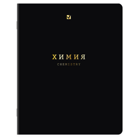 Тетради предметные, КОМПЛЕКТ 12 ПРЕДМЕТОВ, 48 л., Soft-Touch, 3D-фольга, BRAUBERG, "BLACK GOLD", 405602 - фото 11