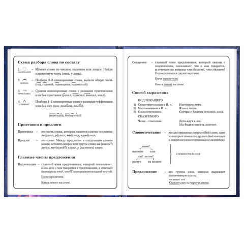 Дневник 1-4 класс 48 л., твердый, ЮНЛАНДИЯ, глянцевая ламинация, с подсказом, "Принцесса", 107582 - фото 11