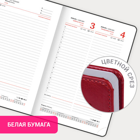 Ежедневник датированный 2026, А5, 138x213 мм, BRAUBERG "Rainbow", под кожу, красный, 117077 - фото 16
