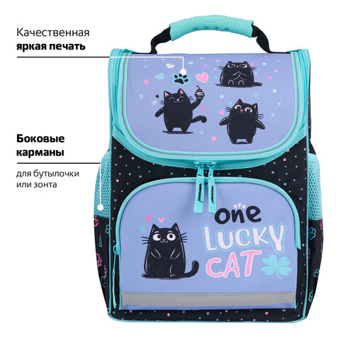 Ранец ПИФАГОР BASIC, 1 отделение, 3 кармана, эргономичная спинка, "Funny cats", 35х28х18 см, 273135 - фото 14