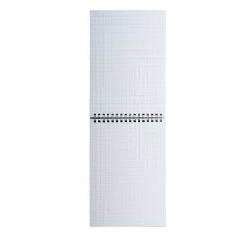 Блокнот МАЛЫЙ ФОРМАТ А6 108х145 мм, 40 л., гребень, картон, клетка, BRAUBERG "Minimal Classic", 116428 - фото 6