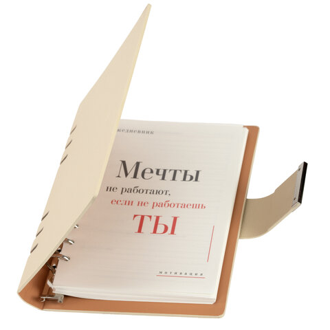 Ежедневник на кольцах в наборе с ручкой А5, 165x229 мм, BRAUBERG "Lux", под кожу, 100 листов, бежевый, 116859 - фото 5