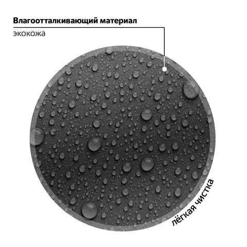 Ранец BRAUBERG SHINY, 2 отделения, с брелком, "Smiling cat", 38х28х14 см, 272040 - фото 13