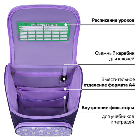 Ранец ПИФАГОР BASIC, 1 отделение, 3 кармана, эргономичная спинка, "Happy bear", 35х28х18 см, 272047 - фото 15