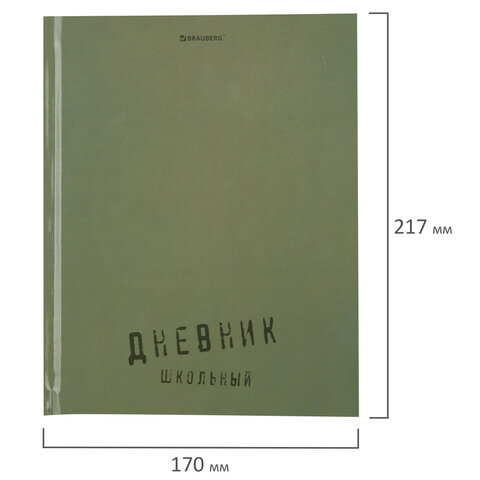 Дневник 1-11 класс 40 л., твердый, BRAUBERG, глянцевая ламинация, "Однотонный", 107607 - фото 11