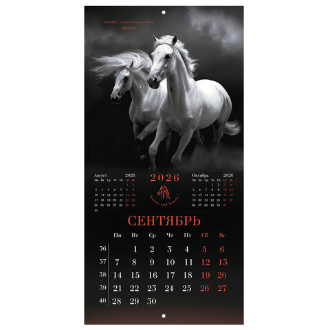 Календарь настенный перекидной 2026 г., BRAUBERG, 12 листов, 28,5х28,5 см, "Символ года", 116928 - фото 12