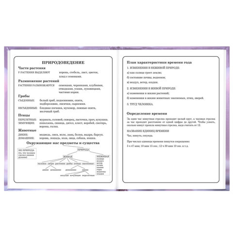 Дневник 1-4 класс 48 л., твердый, BRAUBERG, глянцевая ламинация, с подсказом, "Единорог", 107588 - фото 16