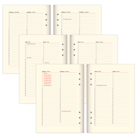 Ежедневник на кольцах в наборе с ручкой А5, 165x229 мм, BRAUBERG "Lux", под кожу, 100 листов, черный, 116856 - фото 11