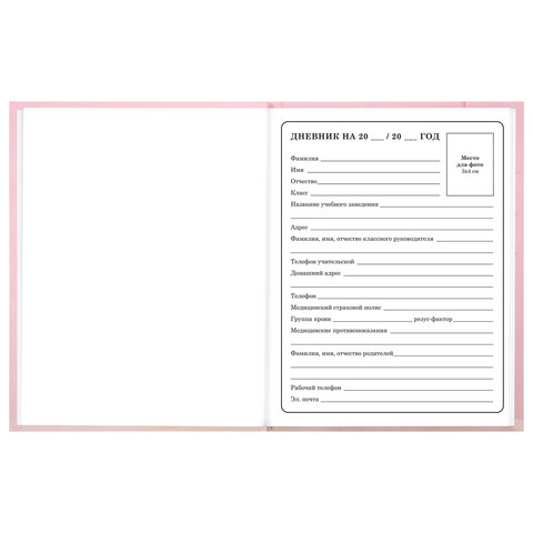 Дневник 1-4 класс 48 л., твердый, BRAUBERG, выборочный лак, с подсказом, "Миленький котёнок", 107594 - фото 5