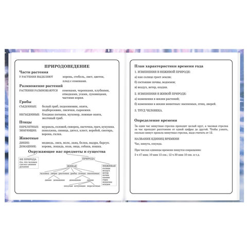 Дневник 1-4 класс 48 л., твердый, BRAUBERG, глянцевая ламинация, с подсказом, "Winter Cat", 107589 - фото 16