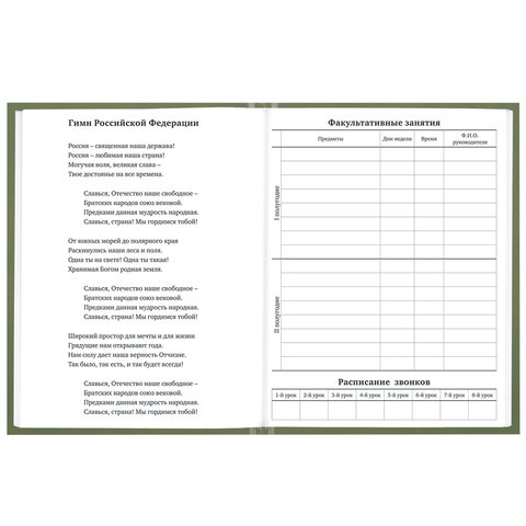 Дневник 1-11 класс 40 л., твердый, BRAUBERG, глянцевая ламинация, "Однотонный", 107607 - фото 6