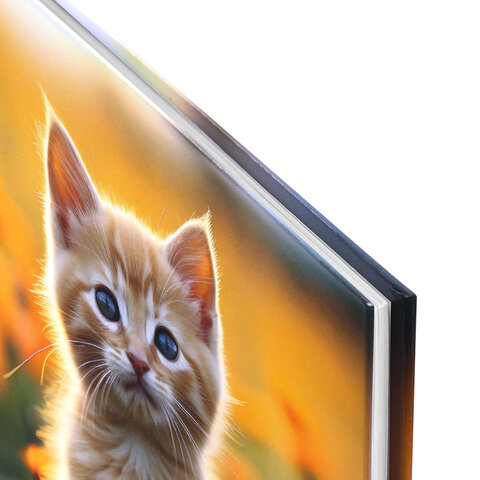 Дневник 1-4 класс 48 л., твердый, ЮНЛАНДИЯ, глянцевая ламинация, с подсказом, "Котёнок", 107581 - фото 2