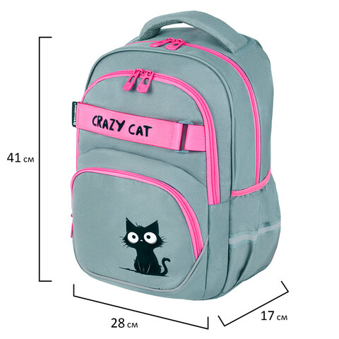 Рюкзак BRAUBERG MOTION, 2 отделения, 3 кармана, "Crazy cat", 41х28х17 см, 273115 - фото 10