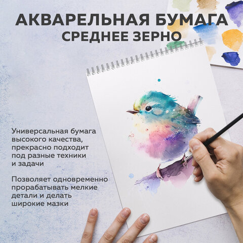 Бумага для акварели БОЛЬШАЯ А3 в коробке, 40 листов, 200 г/м2, среднее зерно, BRAUBERG ART CLASSIC, 116356 - фото 8